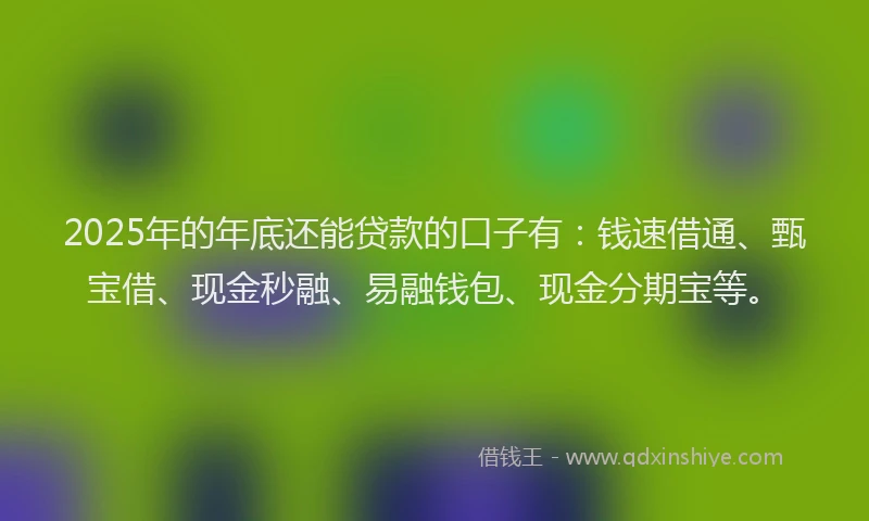 2025年的年底还能贷款的口子有：钱速借通、甄宝借、现金秒融、易融钱包、现金分期宝等。