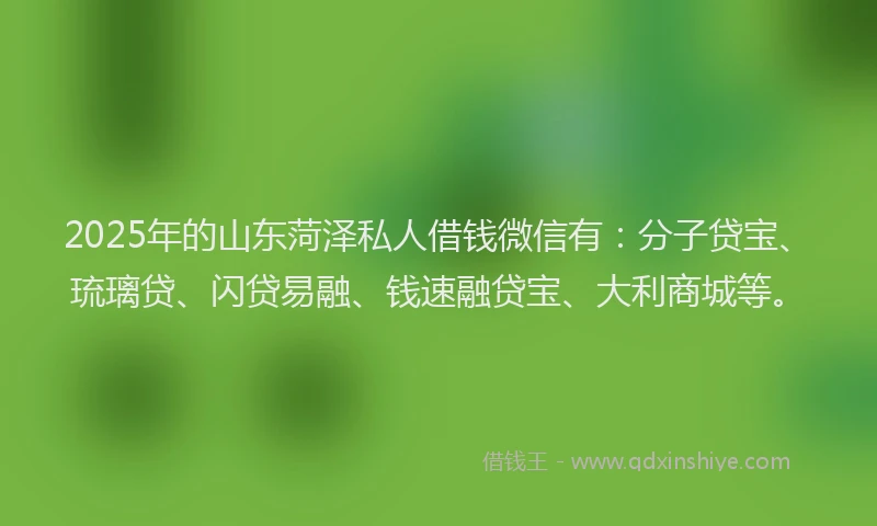 2025年的山东菏泽私人借钱微信有：分子贷宝、琉璃贷、闪贷易融、钱速融贷宝、大利商城等。