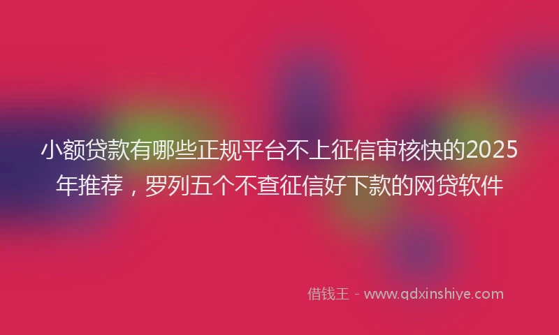 小额贷款有哪些正规平台不上征信审核快的2025年推荐，罗列五个不查征信好下款的网贷软件