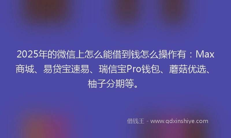 2025年的微信上怎么能借到钱怎么操作有：Max商城、易贷宝速易、瑞信宝Pro钱包、蘑菇优选、柚子分期等。