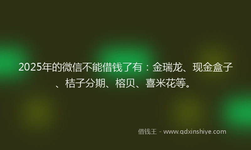 2025年的微信不能借钱了有：金瑞龙、现金盒子、桔子分期、榕贝、喜米花等。
