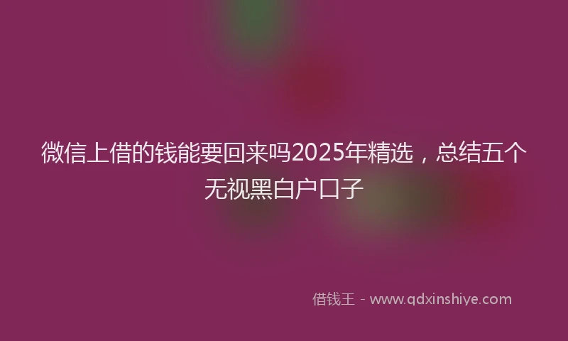 微信上借的钱能要回来吗2025年精选，总结五个无视黑白户口子