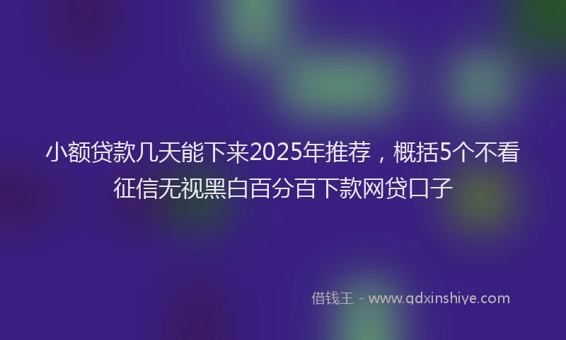 小额贷款几天能下来2025年推荐，概括5个不看征信无视黑白百分百下款网贷口子