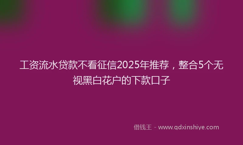 工资流水贷款不看征信2025年推荐，整合5个无视黑白花户的下款口子