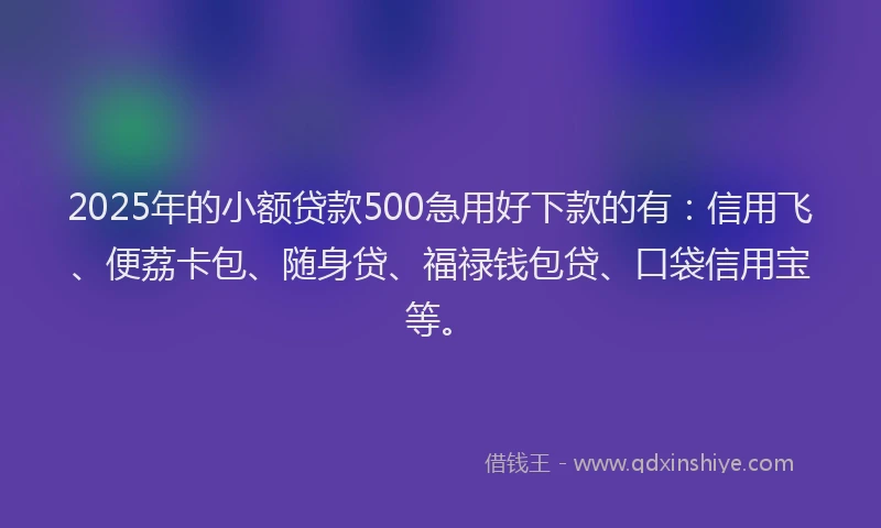 2025年的小额贷款500急用好下款的有：信用飞、便荔卡包、随身贷、福禄钱包贷、口袋信用宝等。