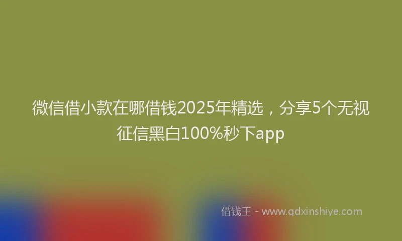 微信借小款在哪借钱2025年精选，分享5个无视征信黑白100%秒下app