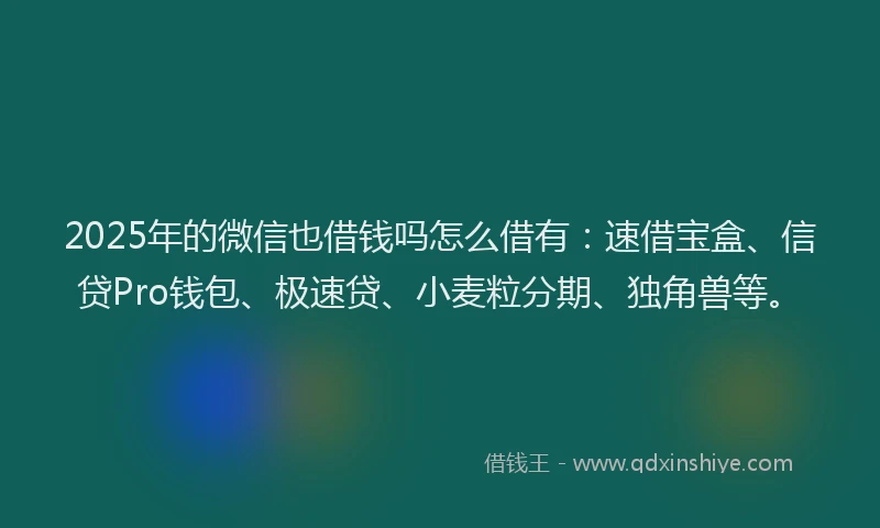 2025年的微信也借钱吗怎么借有：速借宝盒、信贷Pro钱包、极速贷、小麦粒分期、独角兽等。
