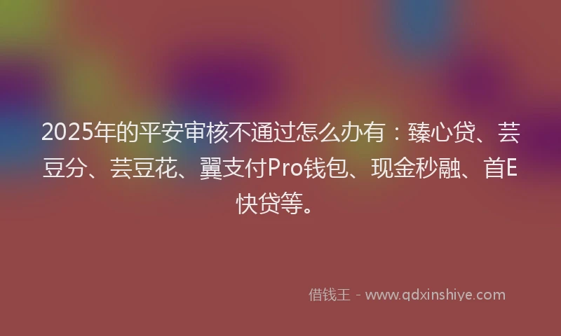 2025年的平安审核不通过怎么办有：臻心贷、芸豆分、芸豆花、翼支付Pro钱包、现金秒融、首E快贷等。