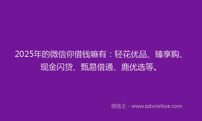 2025年的微信你借钱嘛有：轻花优品、臻享购、现金闪贷、甄易借通、鹿优选等。