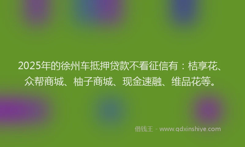 2025年的徐州车抵押贷款不看征信有：桔享花、众帮商城、柚子商城、现金速融、维品花等。