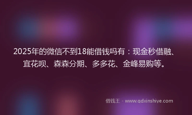 2025年的微信不到18能借钱吗有：现金秒借融、宜花呗、森森分期、多多花、金峰易购等。