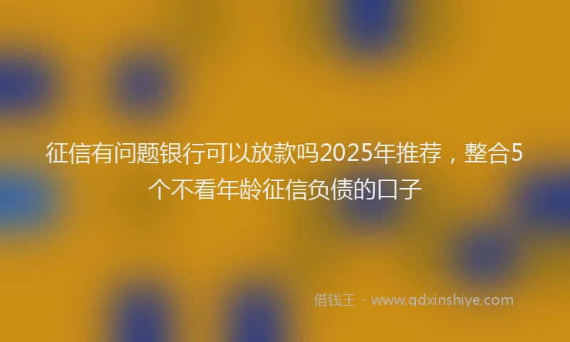 征信有问题银行可以放款吗2025年推荐，整合5个不看年龄征信负债的口子