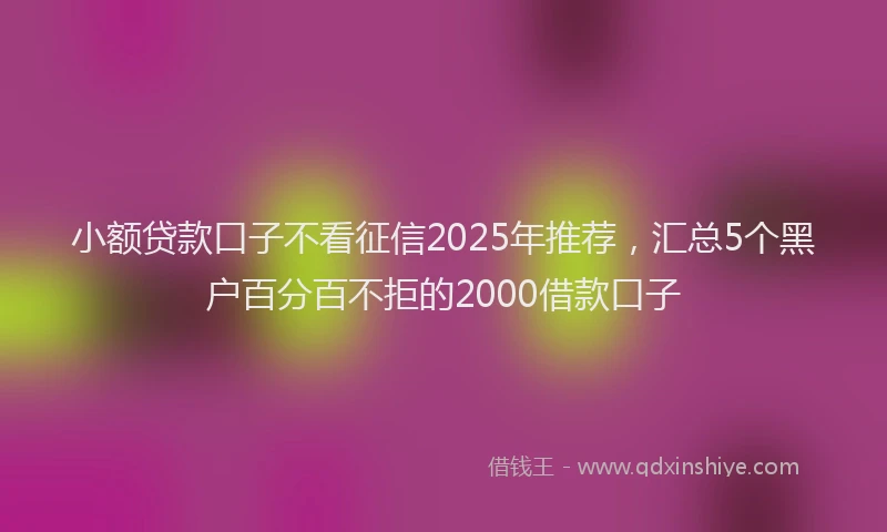 小额贷款口子不看征信2025年推荐，汇总5个黑户百分百不拒的2000借款口子
