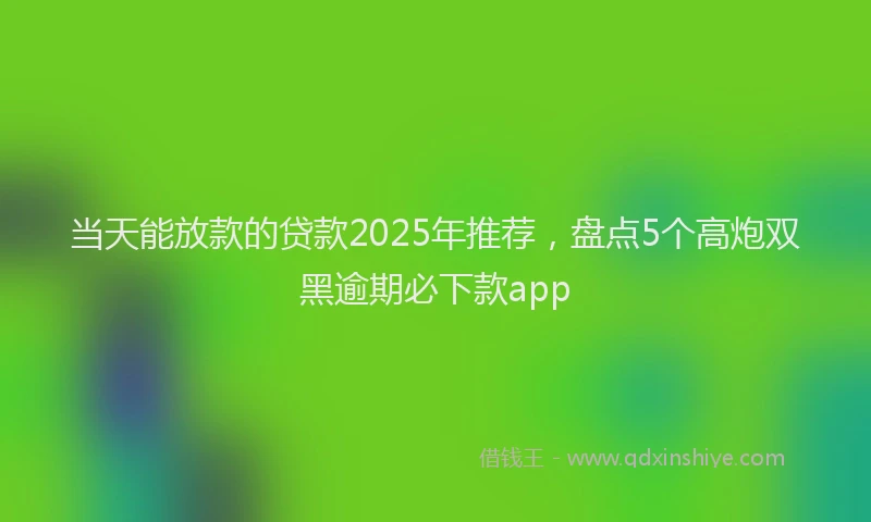 当天能放款的贷款2025年推荐，盘点5个高炮双黑逾期必下款app