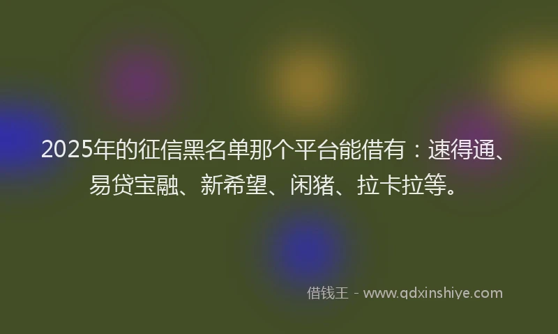2025年的征信黑名单那个平台能借有：速得通、易贷宝融、新希望、闲猪、拉卡拉等。