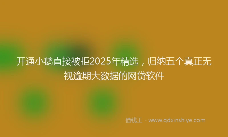 开通小鹅直接被拒2025年精选，归纳五个真正无视逾期大数据的网贷软件