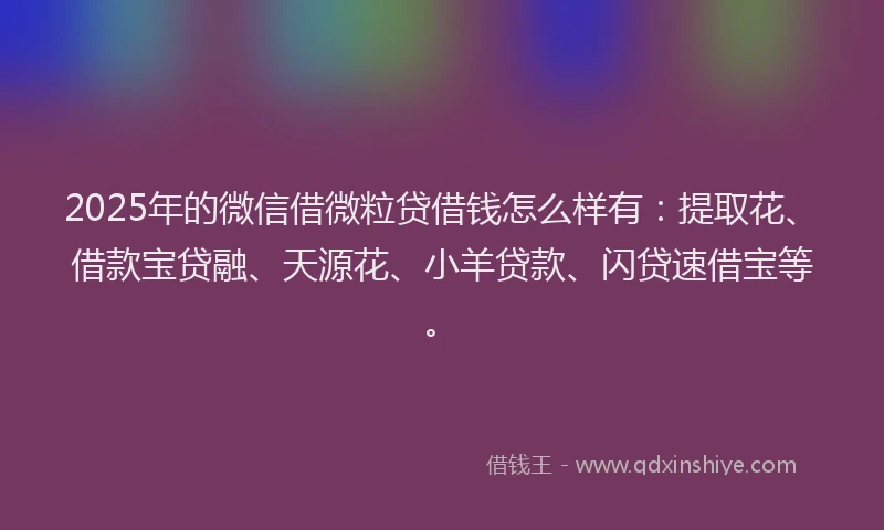 2025年的微信借微粒贷借钱怎么样有：提取花、借款宝贷融、天源花、小羊贷款、闪贷速借宝等。