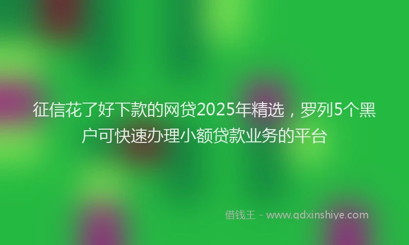 征信花了好下款的网贷2025年精选，罗列5个黑户可快速办理小额贷款业务的平台
