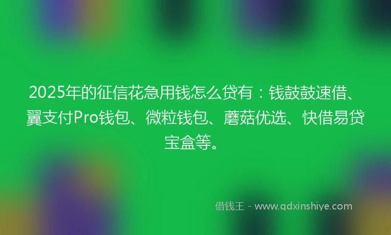 2025年的征信花急用钱怎么贷有：钱鼓鼓速借、翼支付Pro钱包、微粒钱包、蘑菇优选、快借易贷宝盒等。