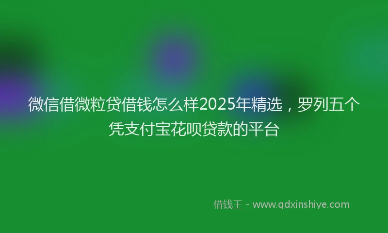 微信借微粒贷借钱怎么样2025年精选，罗列五个凭支付宝花呗贷款的平台