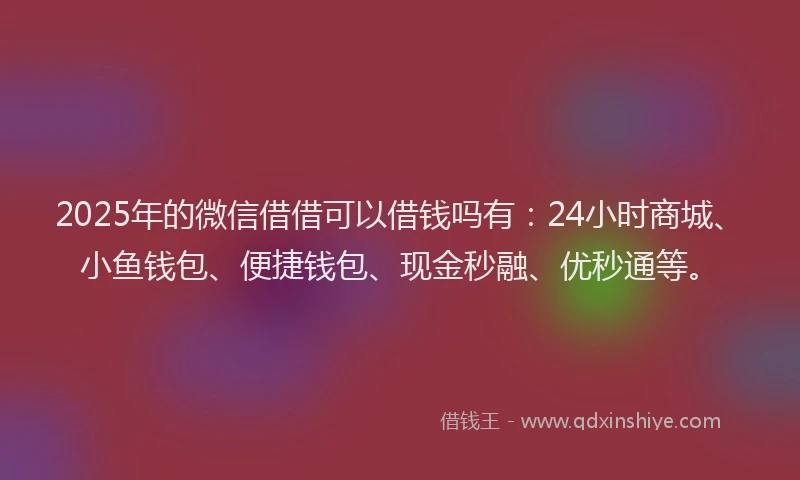 2025年的微信借借可以借钱吗有：24小时商城、小鱼钱包、便捷钱包、现金秒融、优秒通等。