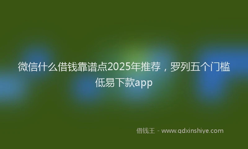 微信什么借钱靠谱点2025年推荐，罗列五个门槛低易下款app