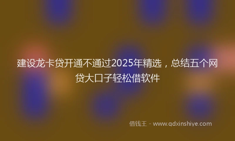 建设龙卡贷开通不通过2025年精选，总结五个网贷大口子轻松借软件