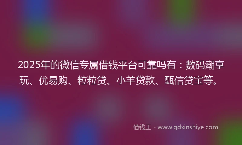 2025年的微信专属借钱平台可靠吗有：数码潮享玩、优易购、粒粒贷、小羊贷款、甄信贷宝等。