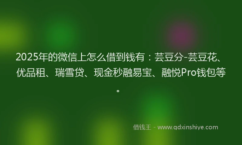 2025年的微信上怎么借到钱有：芸豆分-芸豆花、优品租、瑞雪贷、现金秒融易宝、融悦Pro钱包等。