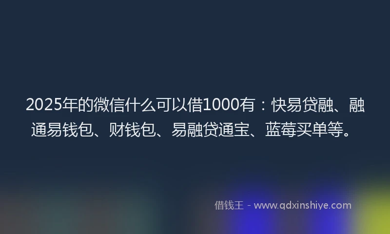 2025年的微信什么可以借1000有：快易贷融、融通易钱包、财钱包、易融贷通宝、蓝莓买单等。