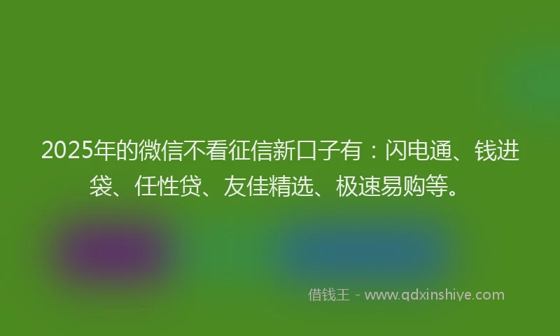 2025年的微信不看征信新口子有：闪电通、钱进袋、任性贷、友佳精选、极速易购等。