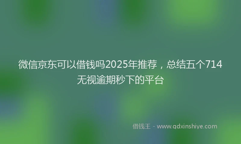 微信京东可以借钱吗2025年推荐，总结五个714无视逾期秒下的平台