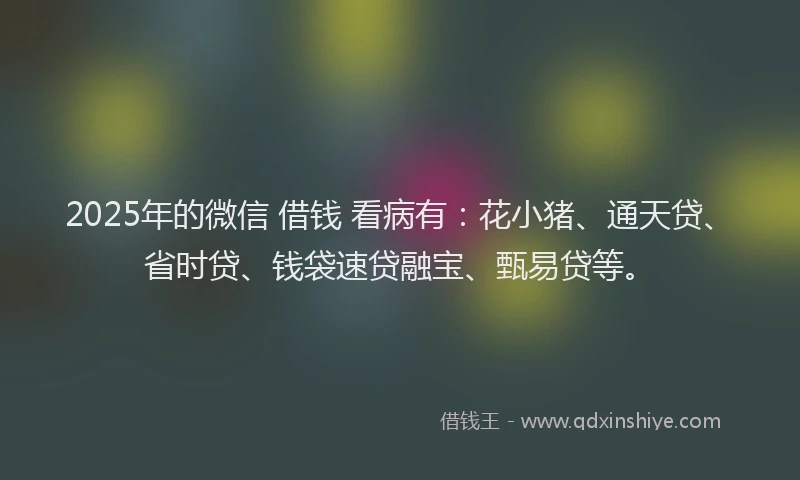 2025年的微信 借钱 看病有：花小猪、通天贷、省时贷、钱袋速贷融宝、甄易贷等。