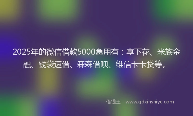 2025年的微信借款5000急用有：享下花、米族金融、钱袋速借、森森借呗、维信卡卡贷等。