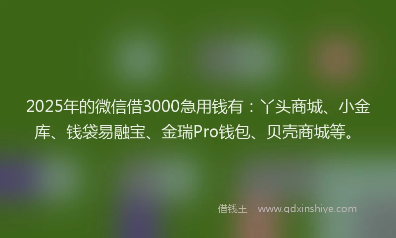 2025年的微信借3000急用钱有：丫头商城、小金库、钱袋易融宝、金瑞Pro钱包、贝壳商城等。
