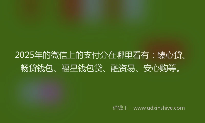 2025年的微信上的支付分在哪里看有：臻心贷、畅贷钱包、福星钱包贷、融资易、安心购等。