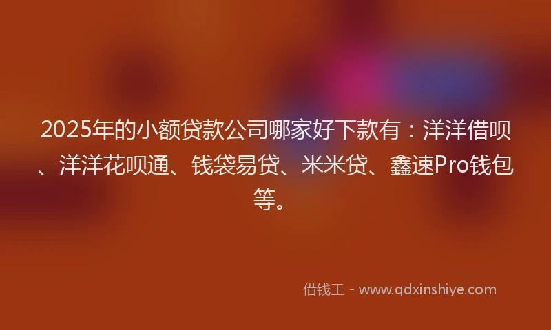 2025年的小额贷款公司哪家好下款有：洋洋借呗、洋洋花呗通、钱袋易贷、米米贷、鑫速Pro钱包等。