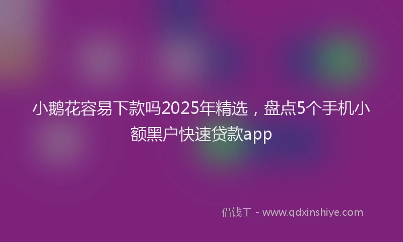 小鹅花容易下款吗2025年精选，盘点5个手机小额黑户快速贷款app