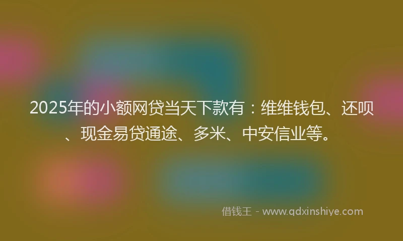 2025年的小额网贷当天下款有：维维钱包、还呗、现金易贷通途、多米、中安信业等。