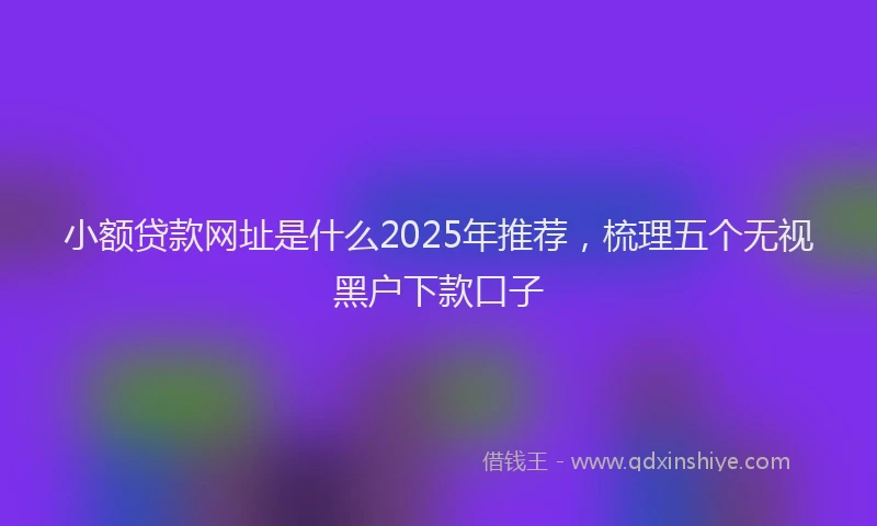 小额贷款网址是什么2025年推荐，梳理五个无视黑户下款口子