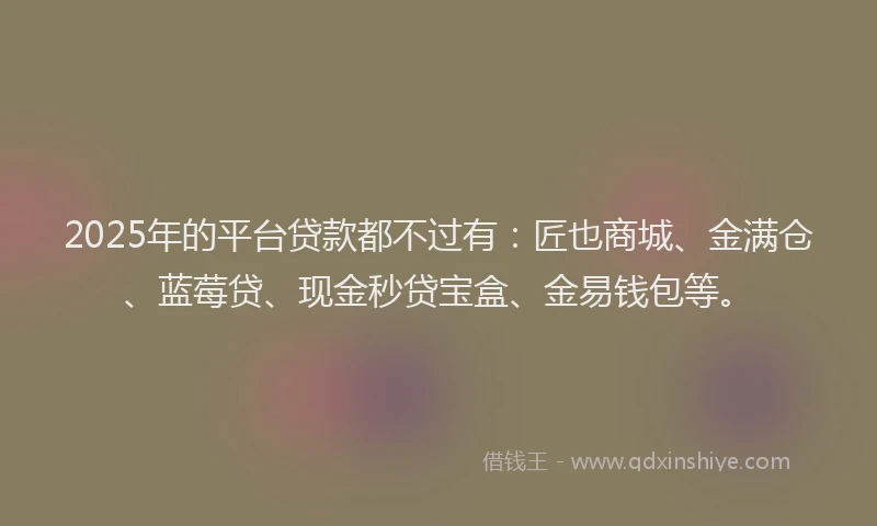 2025年的平台贷款都不过有：匠也商城、金满仓、蓝莓贷、现金秒贷宝盒、金易钱包等。