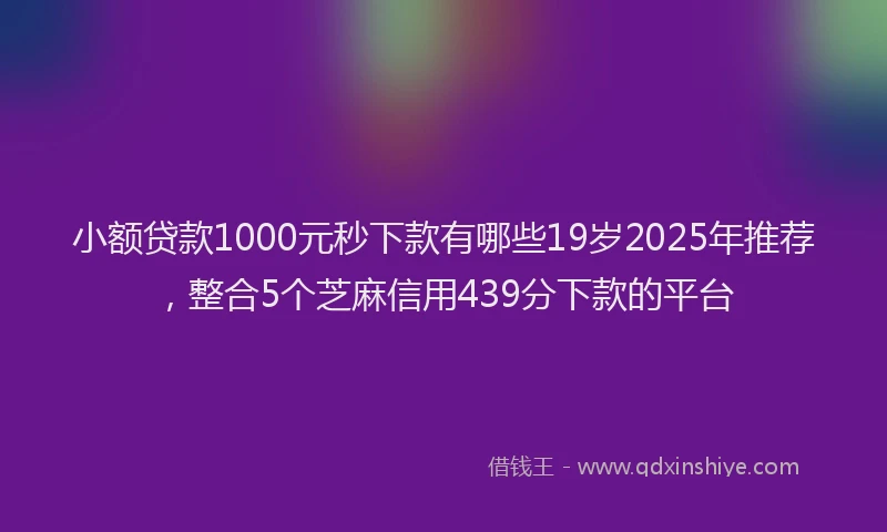 小额贷款1000元秒下款有哪些19岁2025年推荐，整合5个芝麻信用439分下款的平台