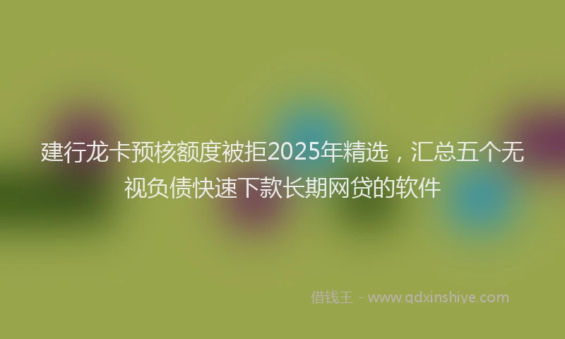 建行龙卡预核额度被拒2025年精选，汇总五个无视负债快速下款长期网贷的软件