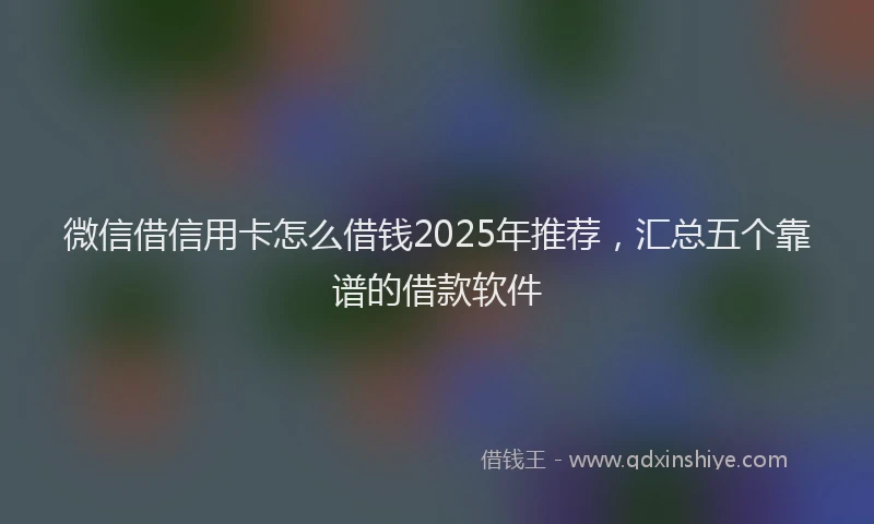 微信借信用卡怎么借钱2025年推荐，汇总五个靠谱的借款软件