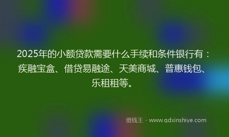 2025年的小额贷款需要什么手续和条件银行有：疾融宝盒、借贷易融途、天美商城、普惠钱包、乐租租等。