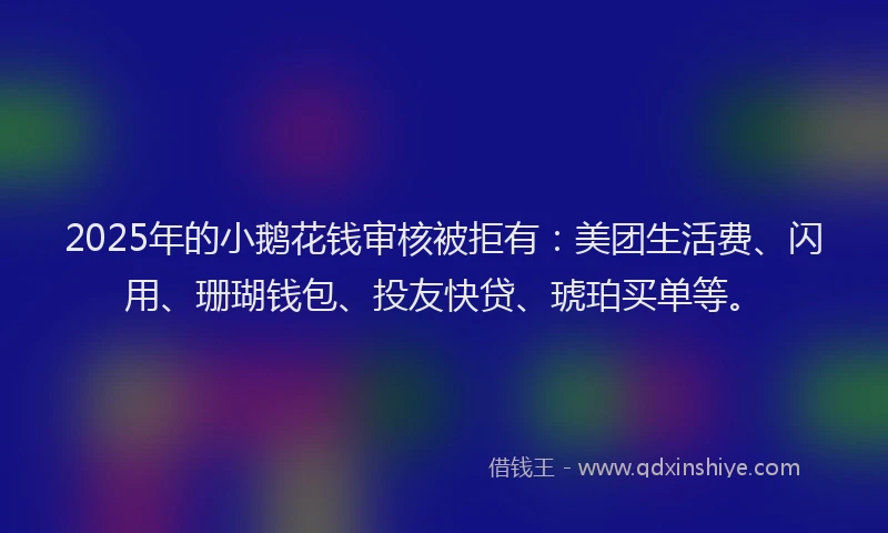 2025年的小鹅花钱审核被拒有：美团生活费、闪用、珊瑚钱包、投友快贷、琥珀买单等。