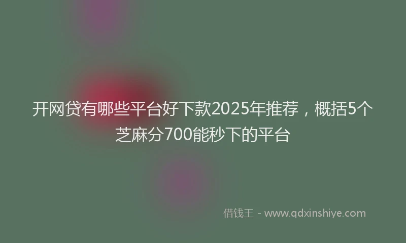 开网贷有哪些平台好下款2025年推荐，概括5个芝麻分700能秒下的平台