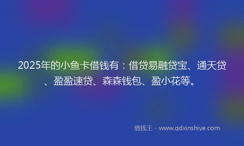2025年的小鱼卡借钱有：借贷易融贷宝、通天贷、盈盈速贷、森森钱包、盈小花等。