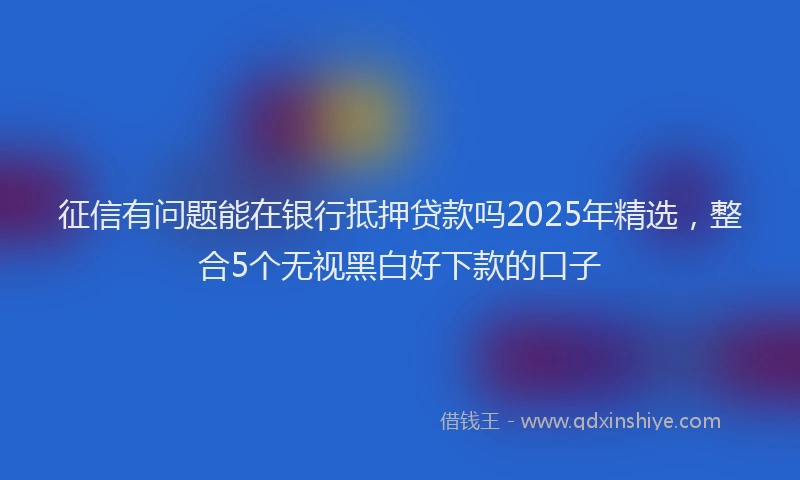 征信有问题能在银行抵押贷款吗2025年精选，整合5个无视黑白好下款的口子