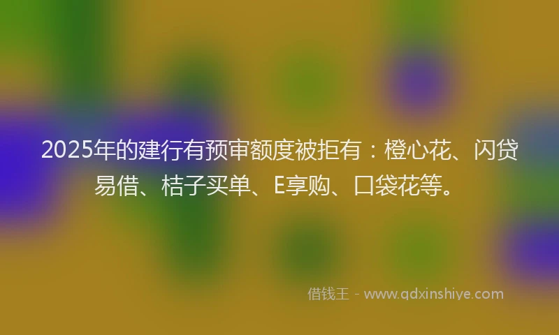 2025年的建行有预审额度被拒有：橙心花、闪贷易借、桔子买单、E享购、口袋花等。